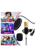 BM 850 Condenser Microphone Bundle Podcast Equipment Bundle with V8 Live Sound Card for Live Streaming, Singing, YouTube, Gaming, Smart Volume Adjustable Mixer Black