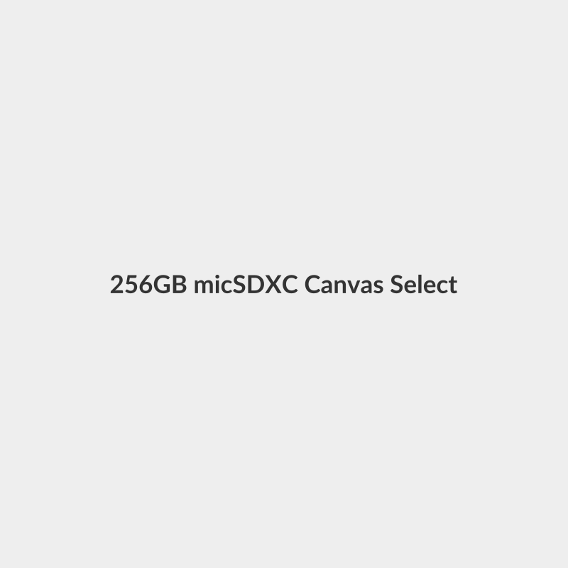 256GB micSDXC Canvas Select Plus 100R A1 C10 Card + ADP - Kingston