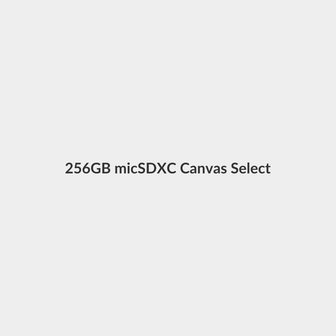 256GB micSDXC Canvas Select Plus 100R A1 C10 Card + ADP - Kingston