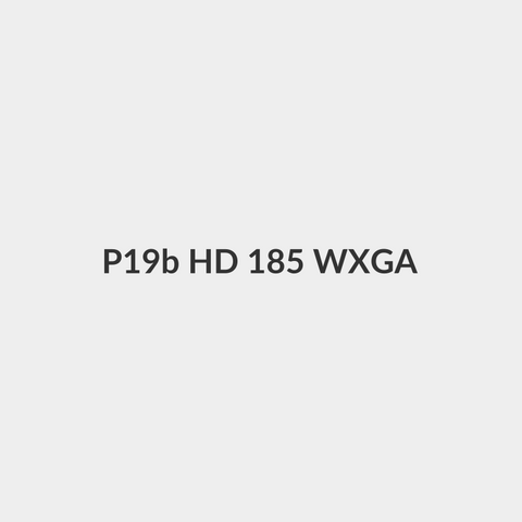 P19b HD 18.5" WXGA LCD MONITOR-L96283-A34 Black - HP