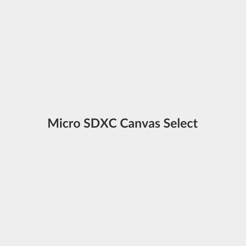 Micro SDXC Canvas Select 80R Class 10 Memory Card With SD Adapter - 64 GB - Kingston